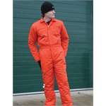 Dickies Lined Work Overalls